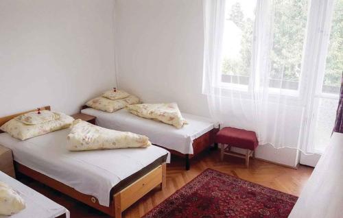 Holiday home in Siofok - Balaton 40758 - image 5