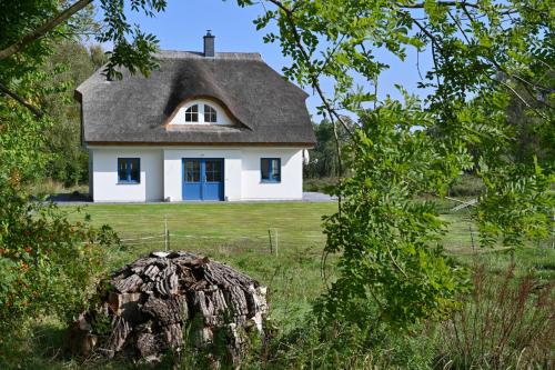 Holiday home in Poseritz - Insel Rügen 41511