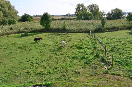 Holiday home in Poseritz - Insel Rügen 41511 Holiday home in Poseritz - Insel Rügen 41511