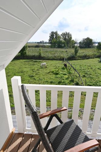 Holiday home in Poseritz - Insel Rügen 41511 Holiday home in Poseritz - Insel Rügen 41511