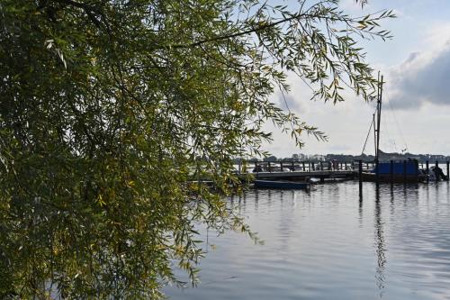 Holiday home in Poseritz - Insel Rügen 41511 Holiday home in Poseritz - Insel Rügen 41511