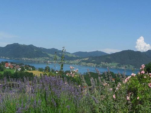 Skats, Pension Seeblick in Breitenröth
