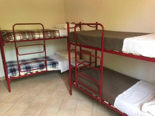 Holiday home in Ciglione/Piemont 38688 - image 2
