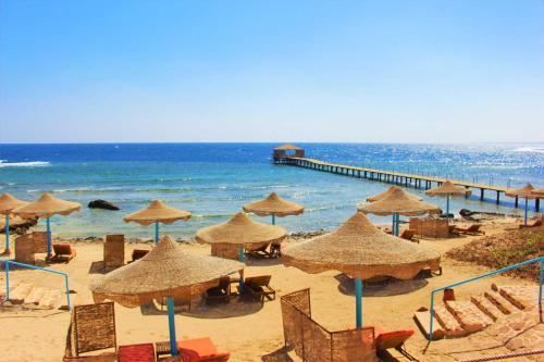 playa, Rohanou Beach Resort in El Quseir Waterfront