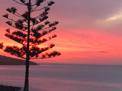 Oceanfront Backpackers