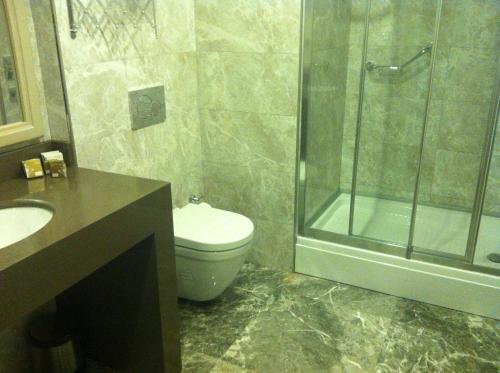 Antik Hotel Istanbul, Istanbul (photo 3)