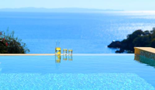 Sivota Seascape - image 10
