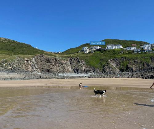 Seacroft, Woolacombe (foto 3)