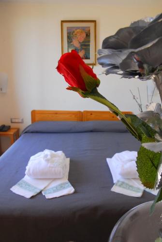 Grazia Hotel - image 9