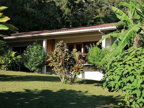 La Ceiba Tree Lodge