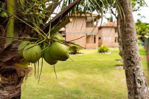 Pousada Boa Sorte – Prado, OH