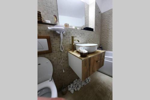 Apartament Erika Sinaia