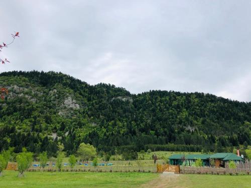 Camping Farm Shelegur