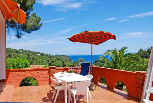Apartments in Capoliveri - Insel Elba 23660 - image 3