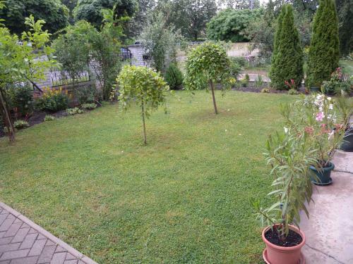 Apartment in Siofok/Balaton 27717 Apartment in Siofok/Balaton 27717