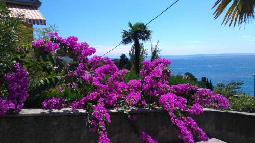 Apartment in Rijeka 27400 - image 3