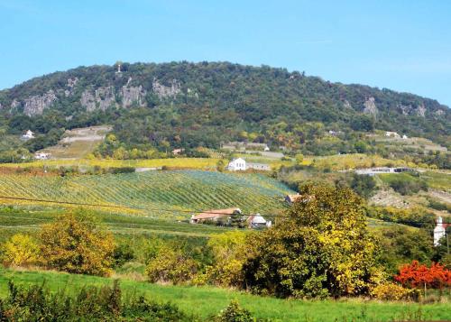  Holiday home in Badacsony/Balaton 18019 in Badacsonytomaj