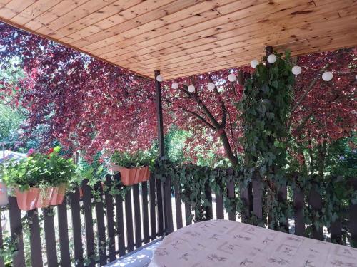 Holiday home in Agard/Velence-See 20586