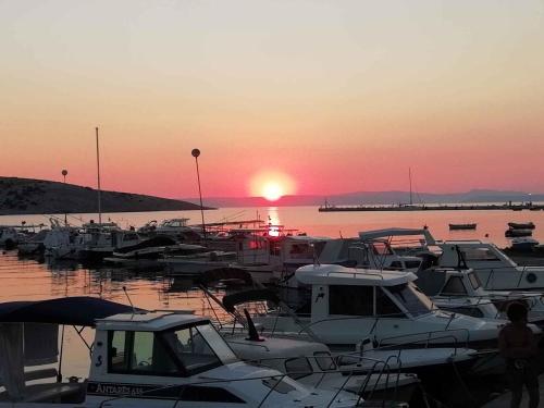 Apartment in Lopar/Insel Rab 36121 - image 8