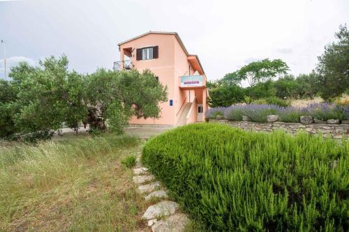 Apartments in Bozava/Insel Dugi Otok 7831