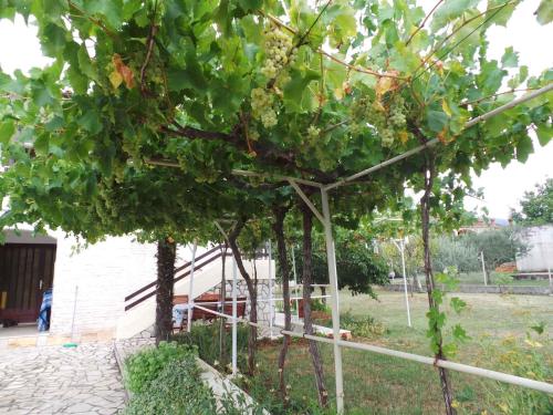  Apartment in Krsan 30369 in Kršan