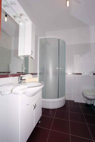 Apartment in Mandre/Insel Pag 33265