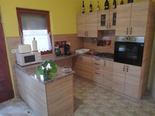 Apartment in Balatonmariafürdo 35839 in Balatonmáriafürdő