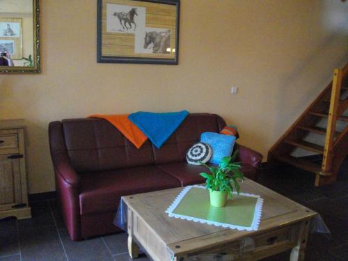Apartment 3