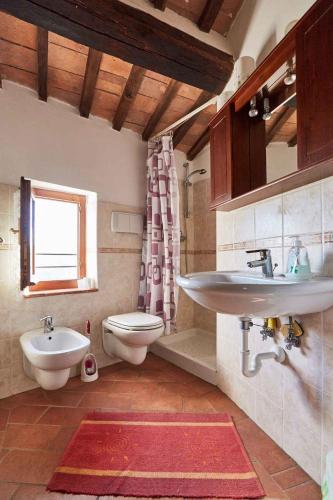 Holiday home in Montieri/Toskana 34273 - image 3