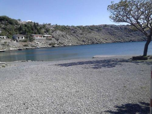 Holiday home in Cesarica 17117 - image 11