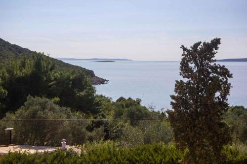Vaade, Studio Tasha - Insel Cres 13647 in Miholašćica