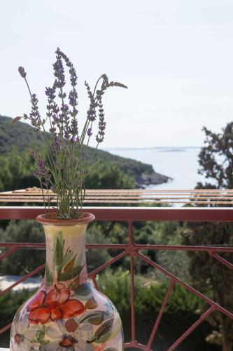 Rõdu/terrass, Studio Tasha - Insel Cres 13647 in Miholašćica