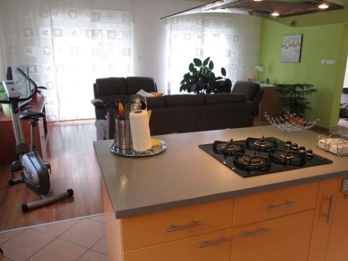 Holiday home in Grizane 5170 - image 3