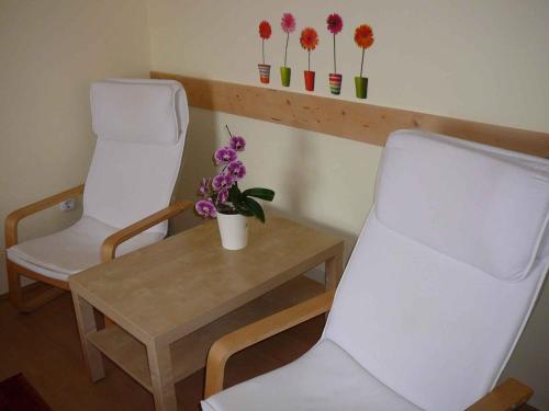 Apartments in Alsopahok/Balaton 27597 photo 2