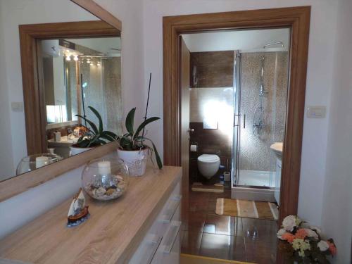 Zuhanyzó, Apartment in Matulji 17036 in Rubesi