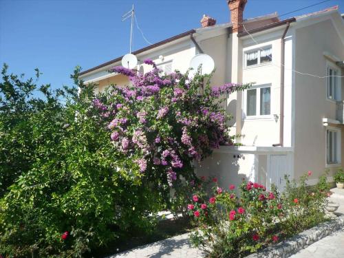 Apartment in Rab/Insel Rab 16489