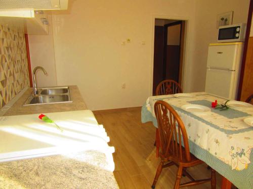 Two-Bedroom Apartment in Pula XI