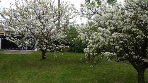 Holiday home Balatonlelle/Balaton 19117