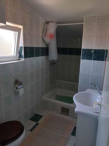 One-Bedroom Apartment in Vir IV