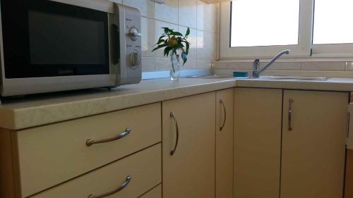 Studio in Pag/Insel Pag 15955