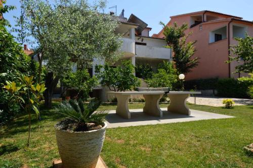 Apartment Pjescana Uvala/Istrien 11401