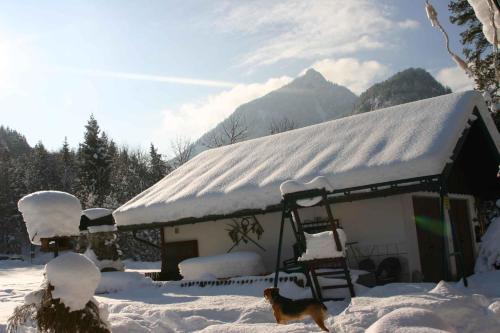 設施, Holiday home Strobl - Salzburger Land 103 in 魏森巴赫