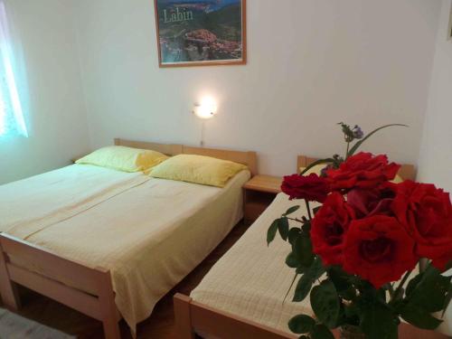 Apartment Labin 3