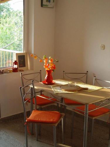  Apartment Zlarin 1 in Zlarin