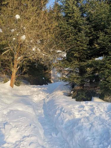 Holiday home in Harrachov 2311 - image 2