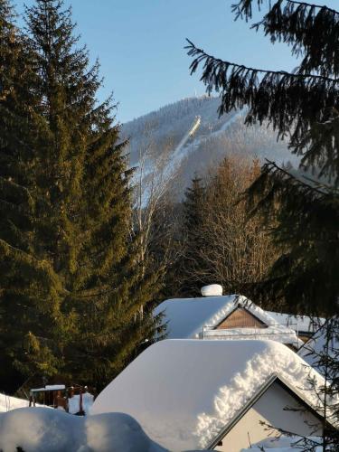 Holiday home in Harrachov 2311 - main image