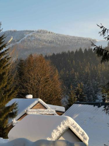 Holiday home in Harrachov 2311 - image 10