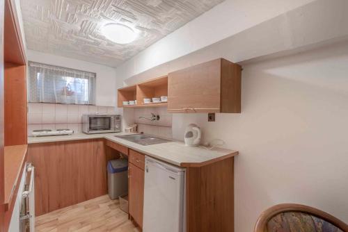 廚房, Apartment Svoboda nad upou 2 in 史禾博達納德烏普