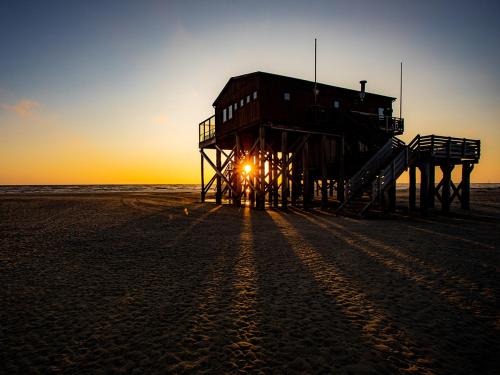 Vogelzug, Ferienwohnung fur 4 Persoen - Erwachsene oder Kinder - in DE FEERJENHUSEN am Haubarg von V in Vollerwiek