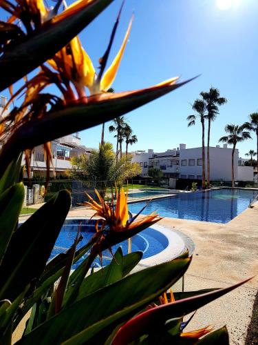 Apartment, Linnea Sol, Orihuela, Ориуэла-Коста (фото 6)